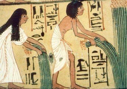 Arrachage du lin Egypte Antique