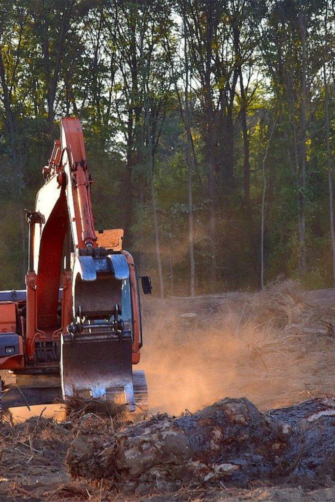 déforestation